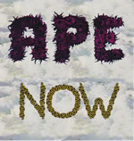 apenow
