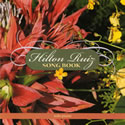 hilton